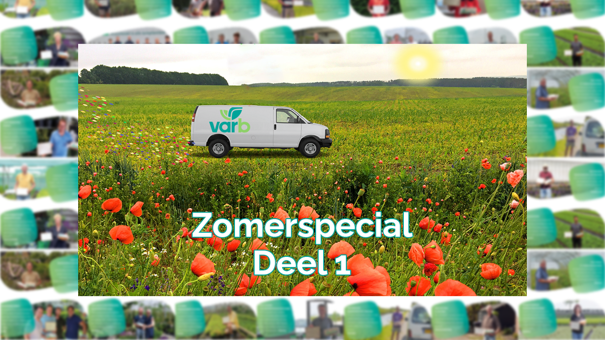 Zomerspecials Varb - Deel 1