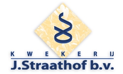 jstraathof logo4