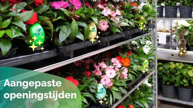 aangepaste bereikbaarheid koningsdag