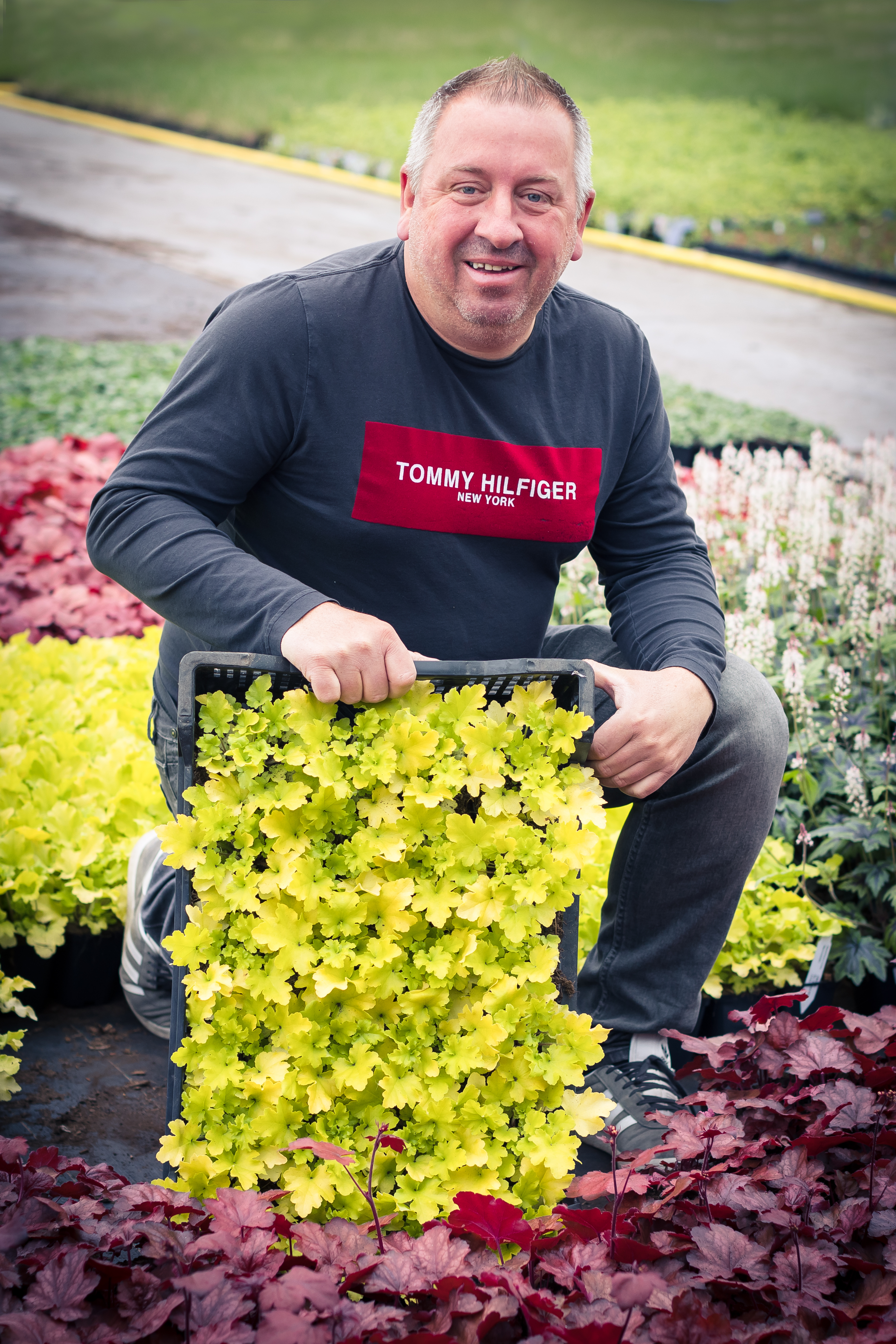 geert de vocht geert de vocht vaste planten